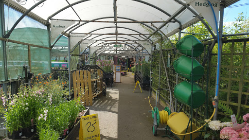 Holland Arms Garden Centre Gallery - United Kingdom