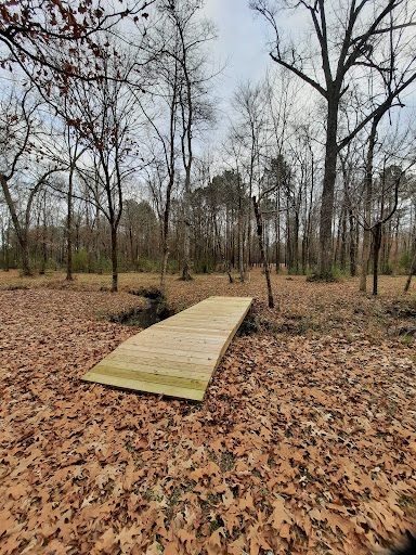 Rainbow City Disc Golf Course Gallery - United States