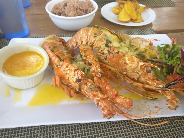 Sharkies Seafood Restaurant