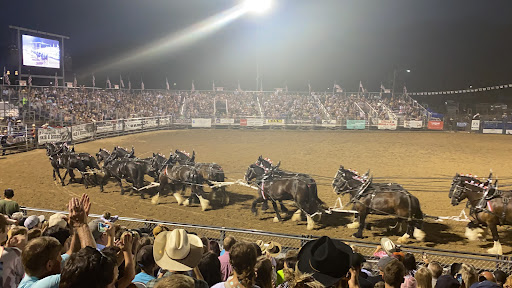 Cache County Fairgrounds - Thumbnail