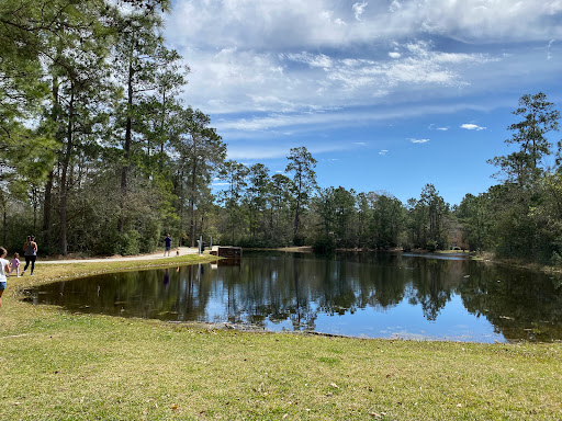 Capstone Park - Visual
