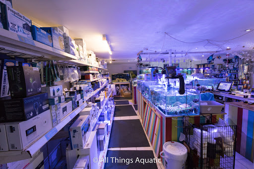 All Things Aquatic - Thumbnail