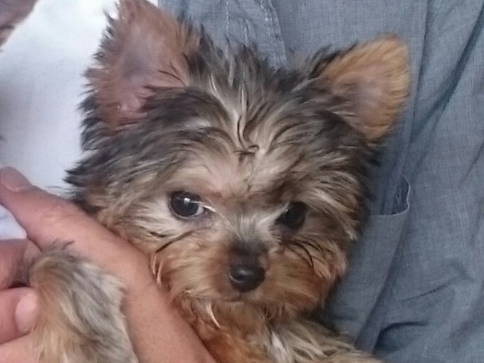 赤帽タカキ運送