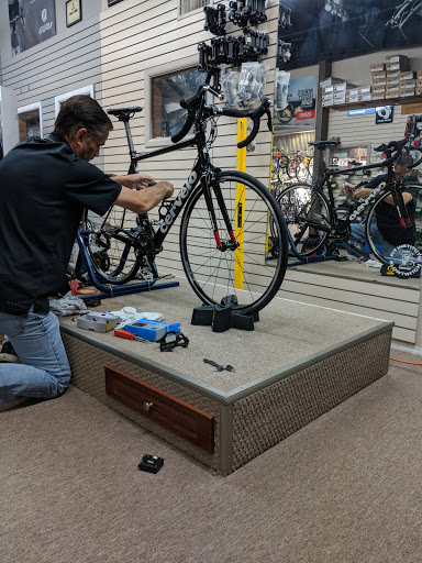 Webster Bicycle - Visual