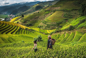 Photo n°7 de Auchan voyages Marseille à Marseille (Voyagiste)