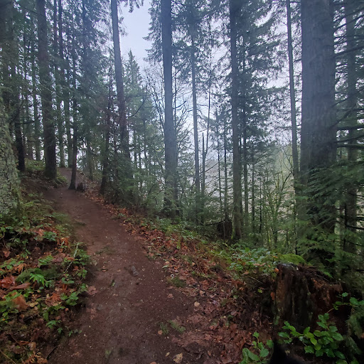 Cedar Mountain - Thumbnail