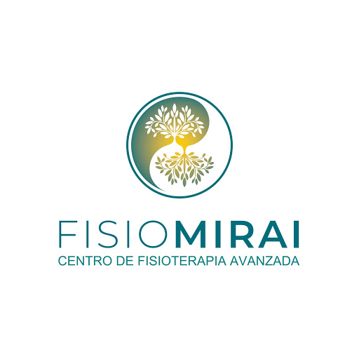 FisioMirai - Visual