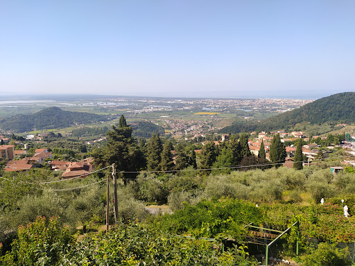 Casesi