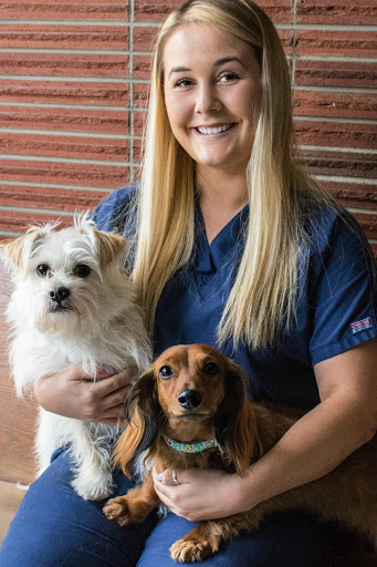 Ingersoll Animal Hospital - Thumbnail