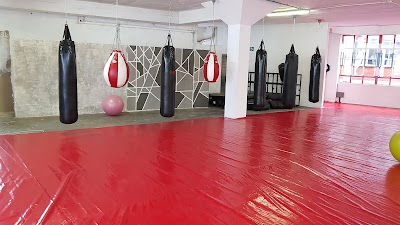 Photos of Domination Fitness & Fight Gym