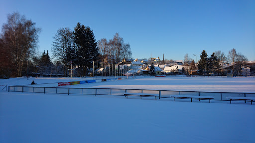 ASV Steinach - Visual