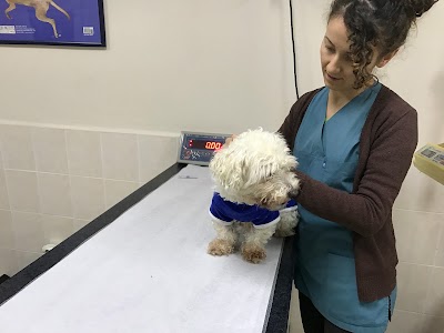 Photos of G&G Academia Veteriner Tani ve Tedavi Merkezi