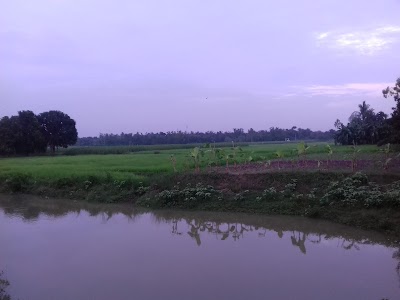 Photos of Chatmohar Thana