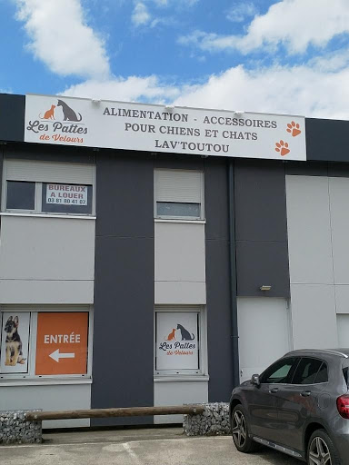 Les Pattes de Velours