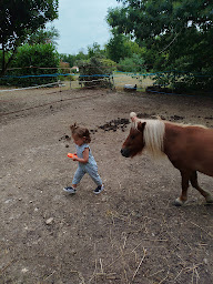 Photo n°23 de Les ani'maux de Popo à Agonac (Ferme pédagogique)