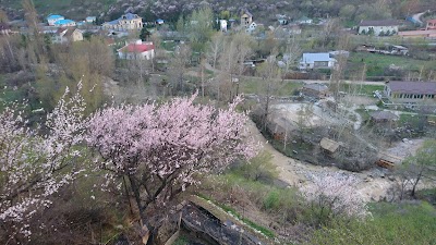 Photos of Zona Otdykha "Forel'ka"