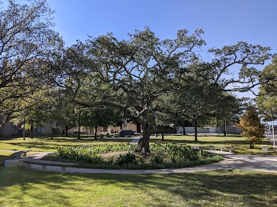 Xavier University of Louisiana