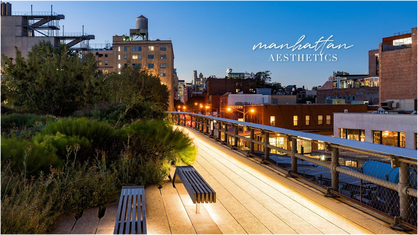 Manhattan Aesthetics by null