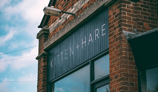 Kitten + Hare - Visual