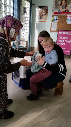 The Broadmeadows Vet - Thumbnail