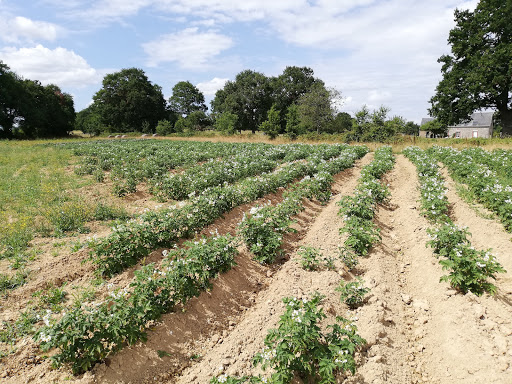 Photo de Maison d'Accueil Pierre Guicheney à Saint-Jean-sur-Mayenne (53240)