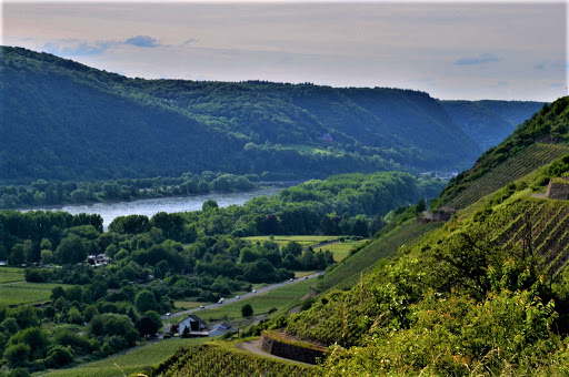 Aussichtspunkt Rheinbrohler Ley - Thumbnail