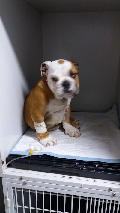 Photos of Neptune Veterinary Clinic