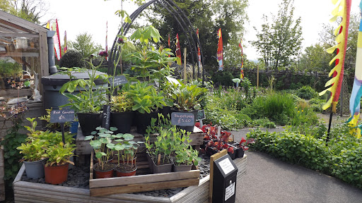 Ford Park Plant Nursery