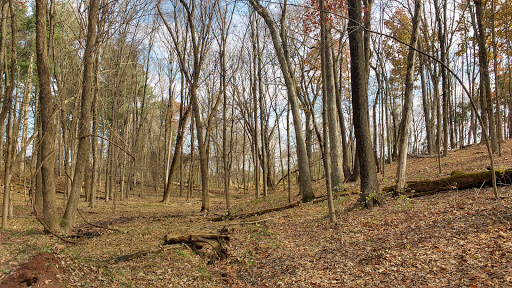 Butler Road Natural Area - Thumbnail