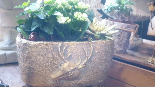 Blumen Balsu - Thumbnail