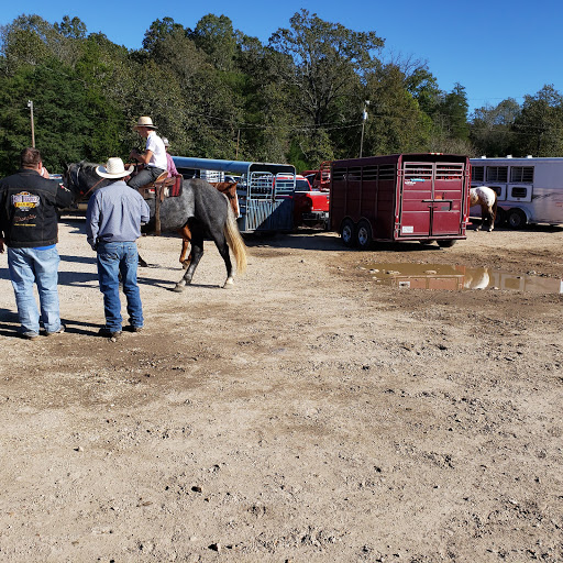 Salem Livestock Auction