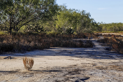 La Sal del Rey - NWR - Thumbnail