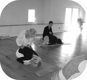 Photo n°14 de Association Court Echelle à Maubourguet (Centre de formation)