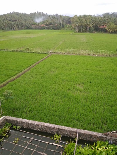 Photos of Rumah Ragamserasi