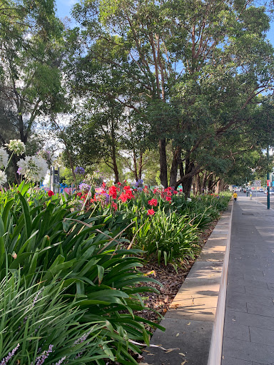 Bigge Park Gallery - Australia