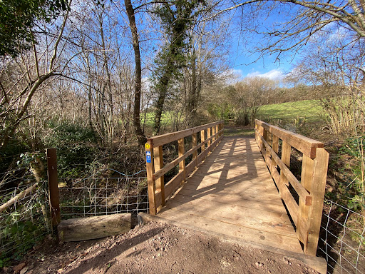 Little Foxes Copse - Woodland Trust - Thumbnail