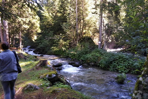 Sede del Parco Naturale Adamello Brenta - Thumbnail