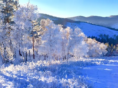 Photos of Zamtin Bulag Resort