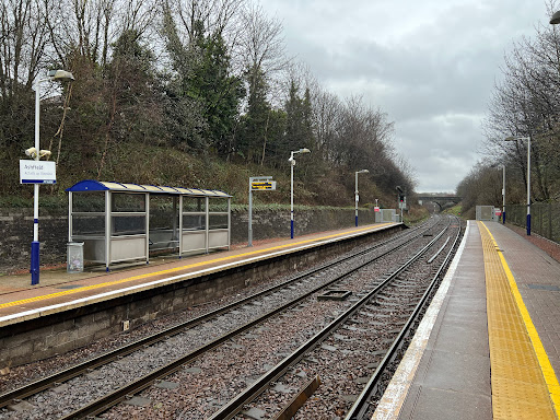 Ashfield - Thumbnail
