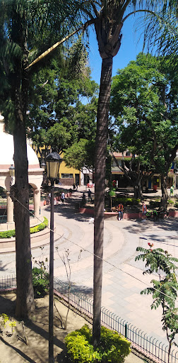 Biblioteca Marcos Aguayo Duran - Thumbnail