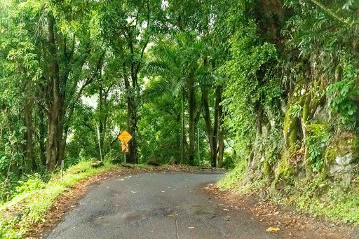 Road To Hana Tours - Thumbnail
