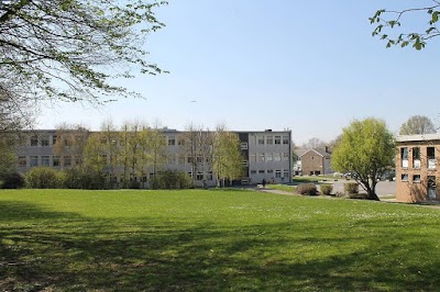 school