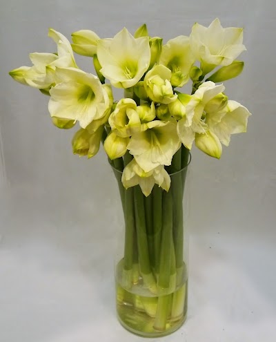 florist