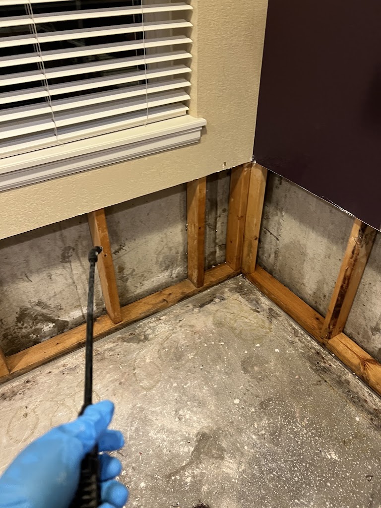 Bluehill Restoration photo