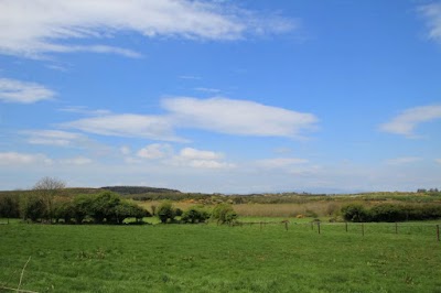 Photos of Lake Tour Stables