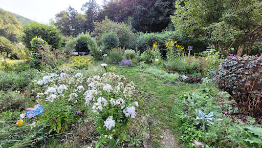 Mittelalterlicher Garten Gallery - France