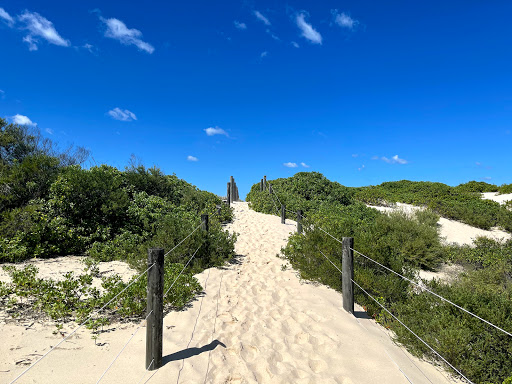Birdie Beach Carpark Gallery - Australia