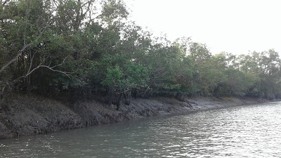 Photos of Sreenagar Gatidarbari Temple