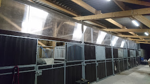 Photo n°4 de Elevage de Fangy à Tintry (Pension pour chevaux)