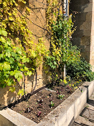 Photo n°15 de La Forge à Sainpuits (Maison de vacances)